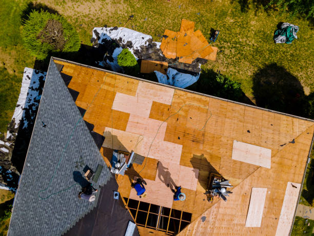 Best Roof Gutter Cleaning  in Earlington, KY