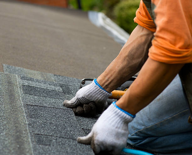 Best New Roof Installation  in Earlington, KY