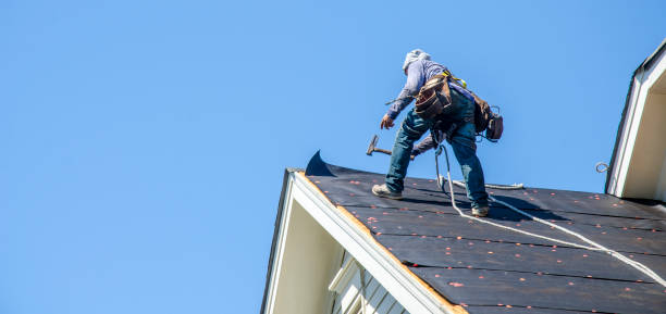 Best Roof Leak Repair  in Earlington, KY